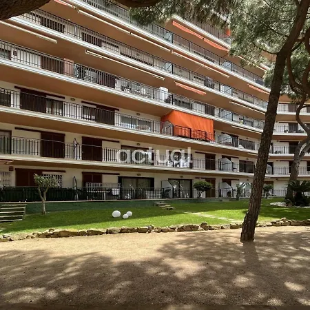 Cavall Bernat 36