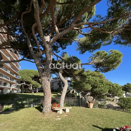 Cavall Bernat 36 Apartment *