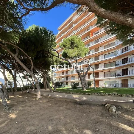 Cavall Bernat 36